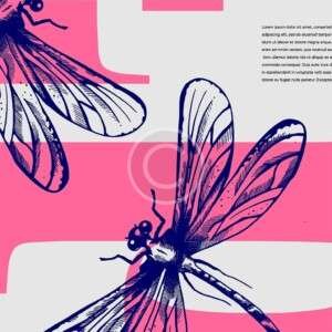 Gallery Img 4 Copyright 300x300