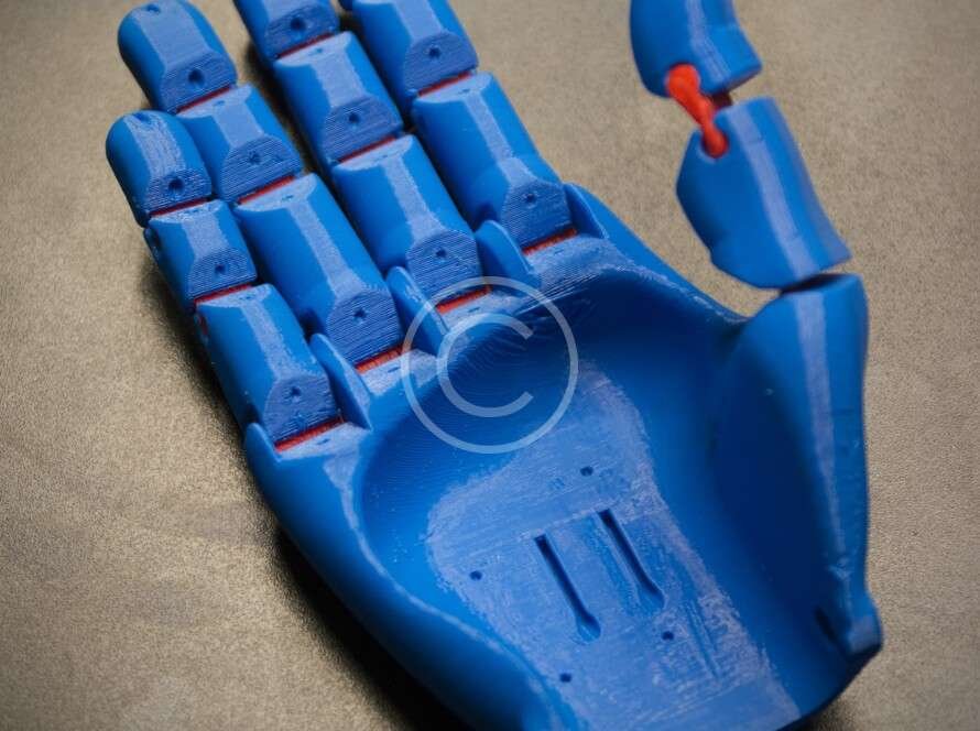 Imag 39 Copyright 890x664