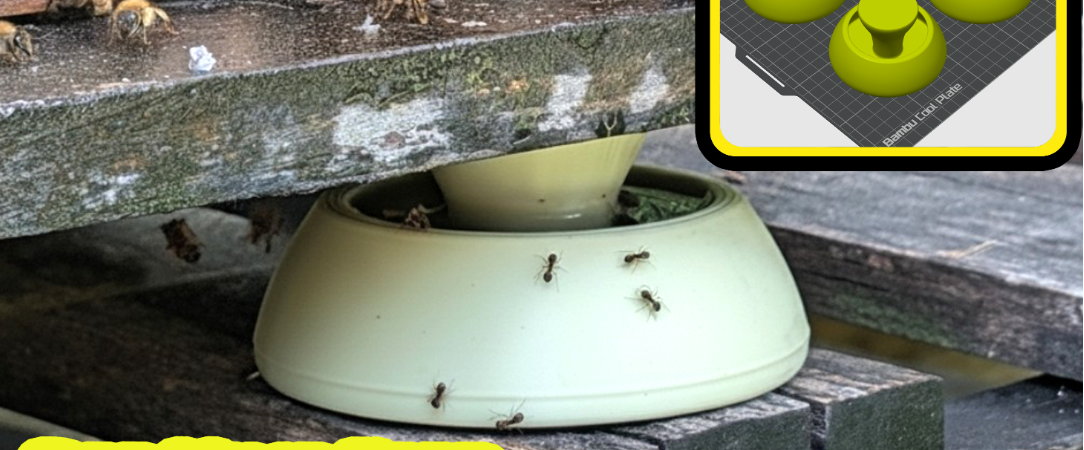 Bee Hive Feet Maur Moat