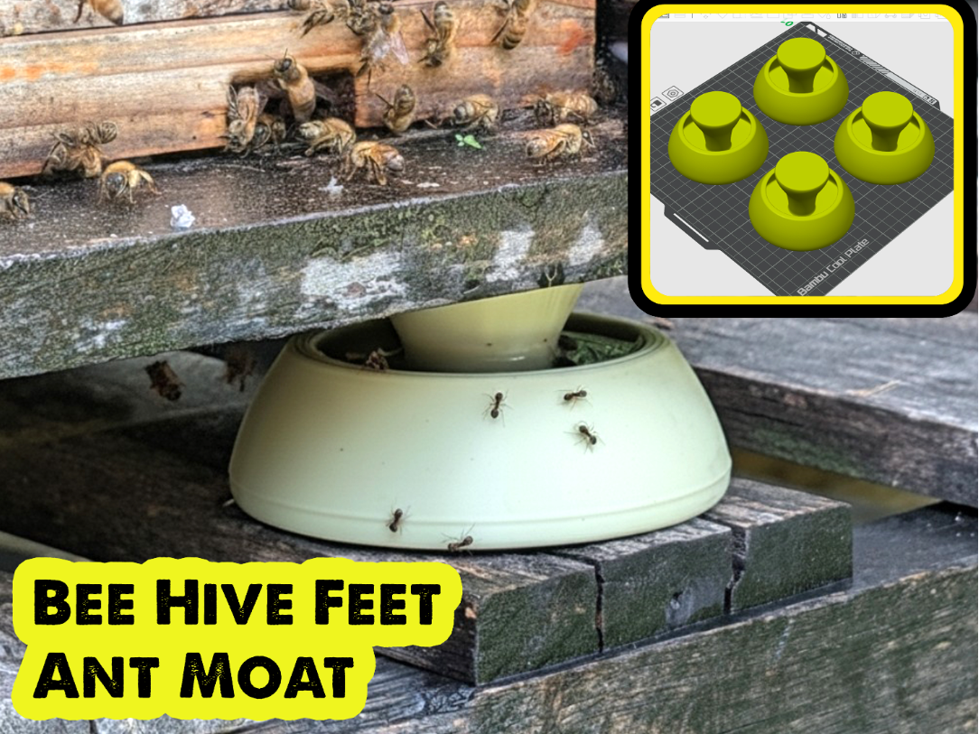 Bee Hive Feet Maur Moat