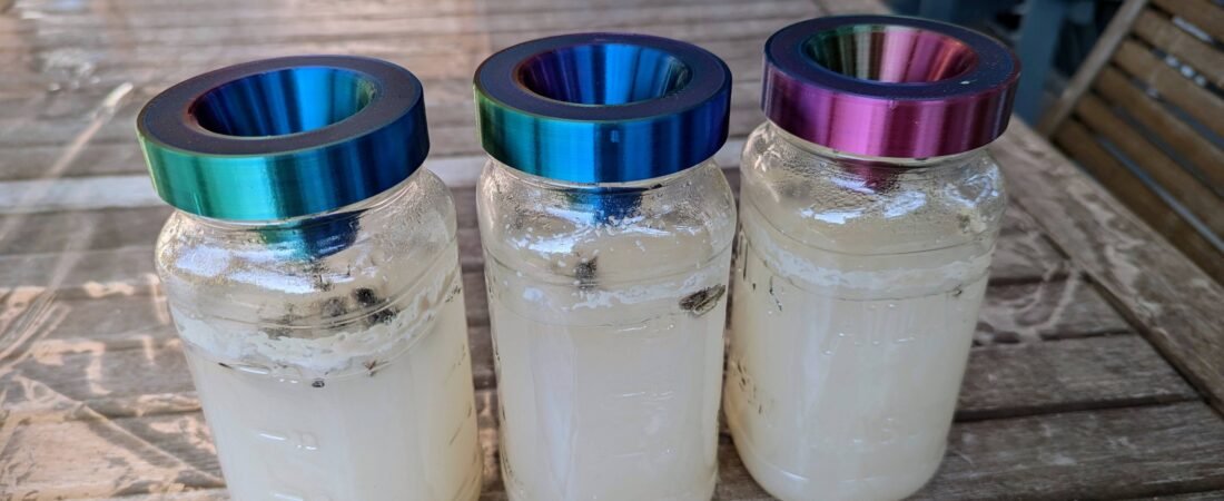 Mason Jar Mosquito Trap (aðrir útilegu meindýr líka)